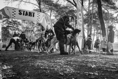 BonningaJos_2024-Kivo-Dog-Jog-Eersel_02622