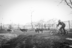 BonningaJos_2024-Kivo-Dog-Jog-Eersel_02851
