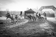BonningaJos_2024-Kivo-Dog-Jog-Eersel_03064