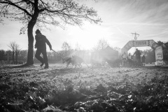 BonningaJos_2024-Kivo-Dog-Jog-Eersel_03147