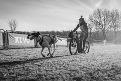 BonningaJos_2024-Kivo-Dog-Jog-Eersel_03489