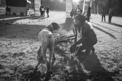 BonningaJos_2024-Kivo-Dog-Jog-Eersel_03503