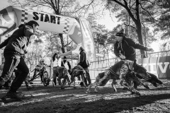 BonningaJos_2024-Kivo-Dog-Jog-Eersel_03879
