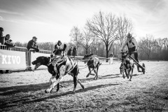 BonningaJos_2024-Kivo-Dog-Jog-Eersel_04117