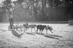 BonningaJos_2024-Kivo-Dog-Jog-Eersel_04130