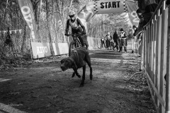 BonningaJos_2024-Kivo-Dog-Jog-Eersel_04243